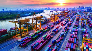 Customs cargo service providers working with containers at a port.