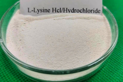 SCM Spectrum - Global Lysine Hydrochloride market trends, pricing fluctuations, and supply chain shifts affecting key regions.