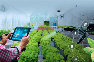 SCM SPECTRUM - IoT sensors monitoring temperature and humidity in agricultural cold storage facility