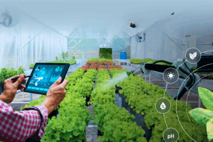 SCM SPECTRUM - IoT sensors monitoring temperature and humidity in agricultural cold storage facility