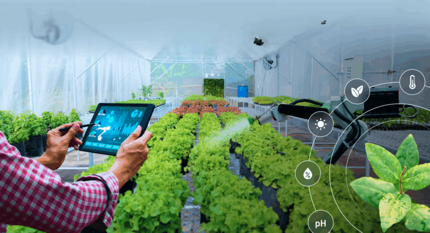 SCM SPECTRUM - IoT sensors monitoring temperature and humidity in agricultural cold storage facility