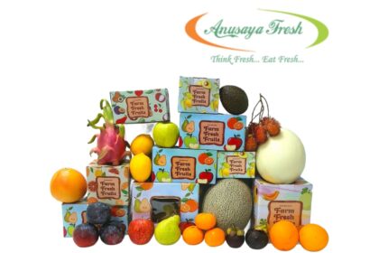Eco-friendly cardboard packaging boxes used by Anusaya Fresh India for fresh produce deliveries via quick-commerce platforms.